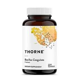 Thorne Research Bacillus Coagulans Probiotika, 60 kapslar