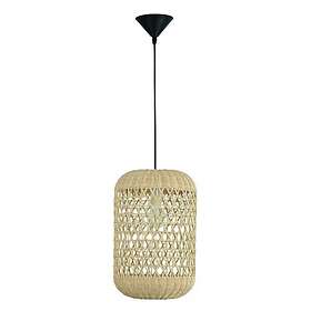 Nova Luce Aurora pendel (Rotting)