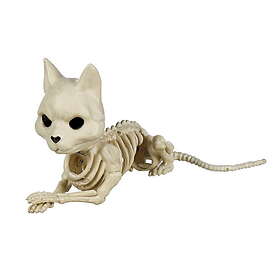 Skelett från en väldigt död katt – längd 17 cm