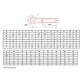 Ultima Visser Fixer Coller  2,9 DIN 912