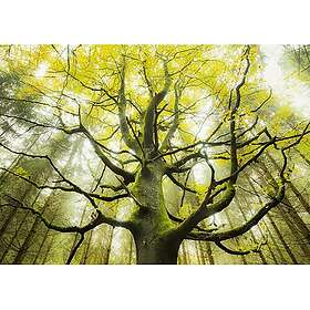 Schmidt Stefan Hefele, Drömträd 1000 Bitar