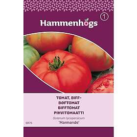 Hammenhögs fröer Tomat, biff Marmande