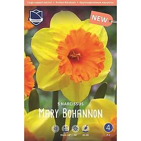 JWA Lefeber Narciss, Mary Bohannon