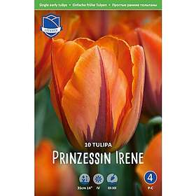 JWA Lefeber Tulpan, Tidig enkel, Prinzesse Irene