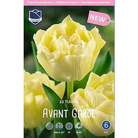 JWA Lefeber Tulpan, Pion, Avant Garde