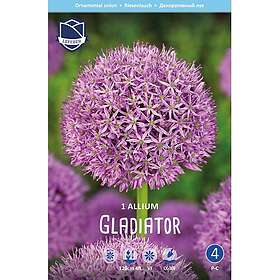JWA Lefeber Allium, Gladiator