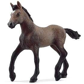 Schleich Peruanskt Paso Föl 13954