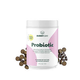 Buddy Care Probiotics 180g