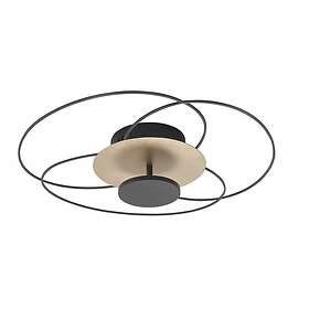 High Light Fiore P641738