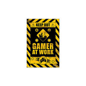 Poster Gameration – Gamer at work