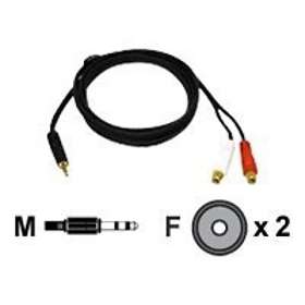 2RCA-3.5mm