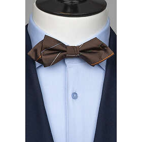 Neckwear Brun spetsig fluga siden randig