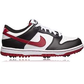 nike dunks junior