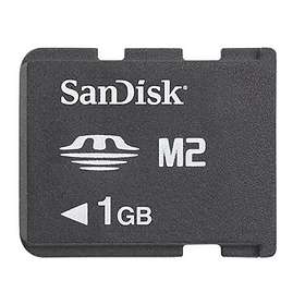 SanDisk Memory Stick Micro 1GB