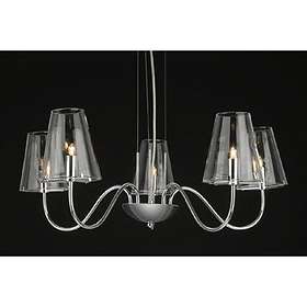 Firstlight Jasmine (5L)