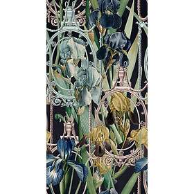 Fleur's Mindthegap D'Iris WP20477