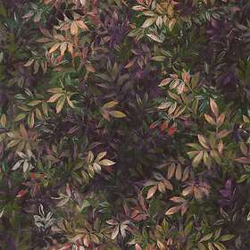 Clarke & Congo Amethyst/Emerald W0140/01