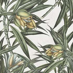 Fruit Mindthegap Exotic Ii WP20098