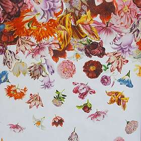 Flower Hohenberger Rain 18003-HTM