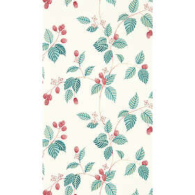 Sanderson Rubus Raspberry DABW217228