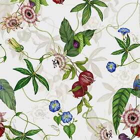 Figaro Paoletti Wallpaper White /WP1/WHI