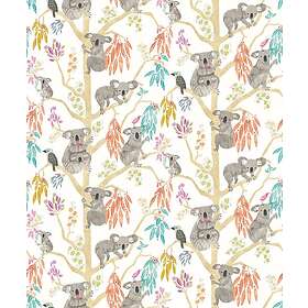 Koala Ohpopsi Kooka Pumpkin WGU50126W