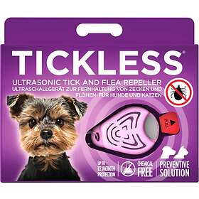 Tickless Pet Rose