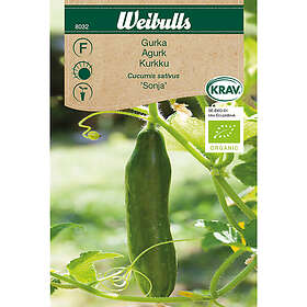 Weibulls Frilandsgurka, Sonja KRAV