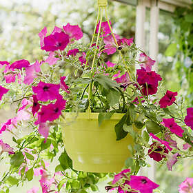 Eliasson Plast Ampel 25cm med hänge, lime