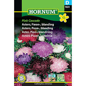 Hornum Pionaster, Pink Cascade mix