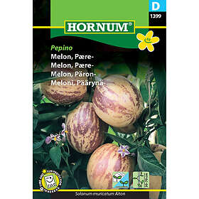 Hornum Päronmelon, Pepino