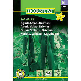 Hornum Slanggurka, Saladin F1