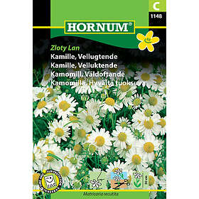 Hornum Kamomill, Zloty Lan