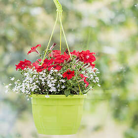 Soparco Ampel Octo 26cm med hänge, lime