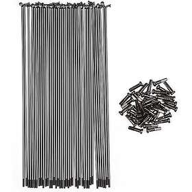 Spokes Bsd Butted 40 Units Svart 194 mm