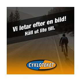 Shimano Mt501 29 Cl Rear Spoke Silver 288 mm