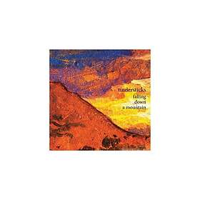 Tindersticks Falling Down A Mountain CD