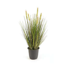 Emerald Konstväxt Gräs I Kruka 45Cm