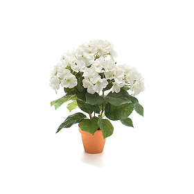 Emerald Konstväxt Hortensia I Kruka Vit 11Cm