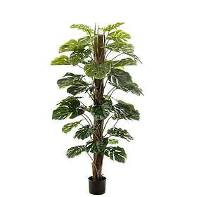 Emerald Konstväxt Monstera I Kruka 150Cm