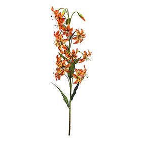 Emerald Konstväxt Lilja Orange 80Cm