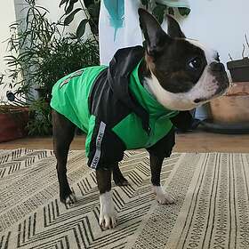 Urban Pup Regnjacka Gul / 20 cm