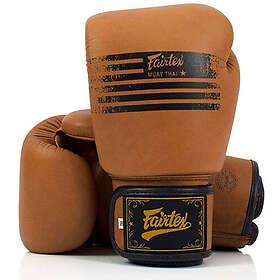 Fairtex Muay Thai Boxing Gloves BGV21