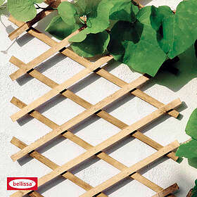 Bellissa Saxspalje I Trä 310X90 Cm