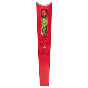 Lyx Sjokolade Rose 20g