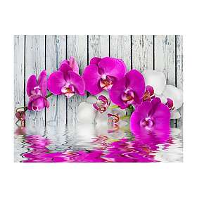 Fototapet Violet Orchids With Water Reflexion 200x154cm TM-LFTNT0539