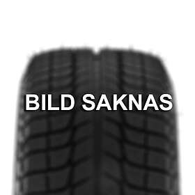 Nankang Ice Activa WS-1 275/45 R18 103Q