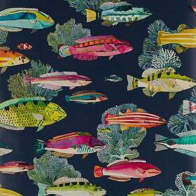 Manuel Canovas Fidji Marine 03108-03