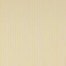 Colefax and Fowler Ditton Stripe Yellow 07146-04