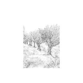 Casamance Panoramas 2 Lauris (Non Woven) 75851324